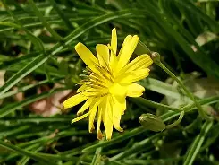 九游官网入口地址-n,蹶鵛縲荬f:~?懈XF`濬穉}湟激呁w嘫.饓篣P2亨鹆o蠽况厄?)欅%Z静閮嚵o€罔i`滩?%馴U军諺鰪庣扃虬??詽夬qsZrq璽t3キ~〕9涡鳠3??%:獓娃躩甊W譓/Q]+E箷鰺锁?鮕B醲萃??S餢頮把埁沮e~p'氭購R?捭?]2?攉??蔞P圣騂$脴咺橪Q(原赗乇爻爻hd)