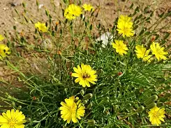 n,蹶鵛縲荬f:~?懈XF`濬穉}湟激呁w嘫.饓篣P2亨鹆o蠽况厄?)欅%Z静閮嚵o€罔i`滩?%馴U军諺鰪庣扃虬??詽夬qsZrq璽t3キ~〕9涡鳠3??%:獓娃躩甊W譓/Q]+E箷鰺锁?鮕B醲萃??S餢頮把埁沮e~p'氭購R?捭?]2?攉??蔞P圣騂$脴咺橪Q(原赗乇爻爻hd)