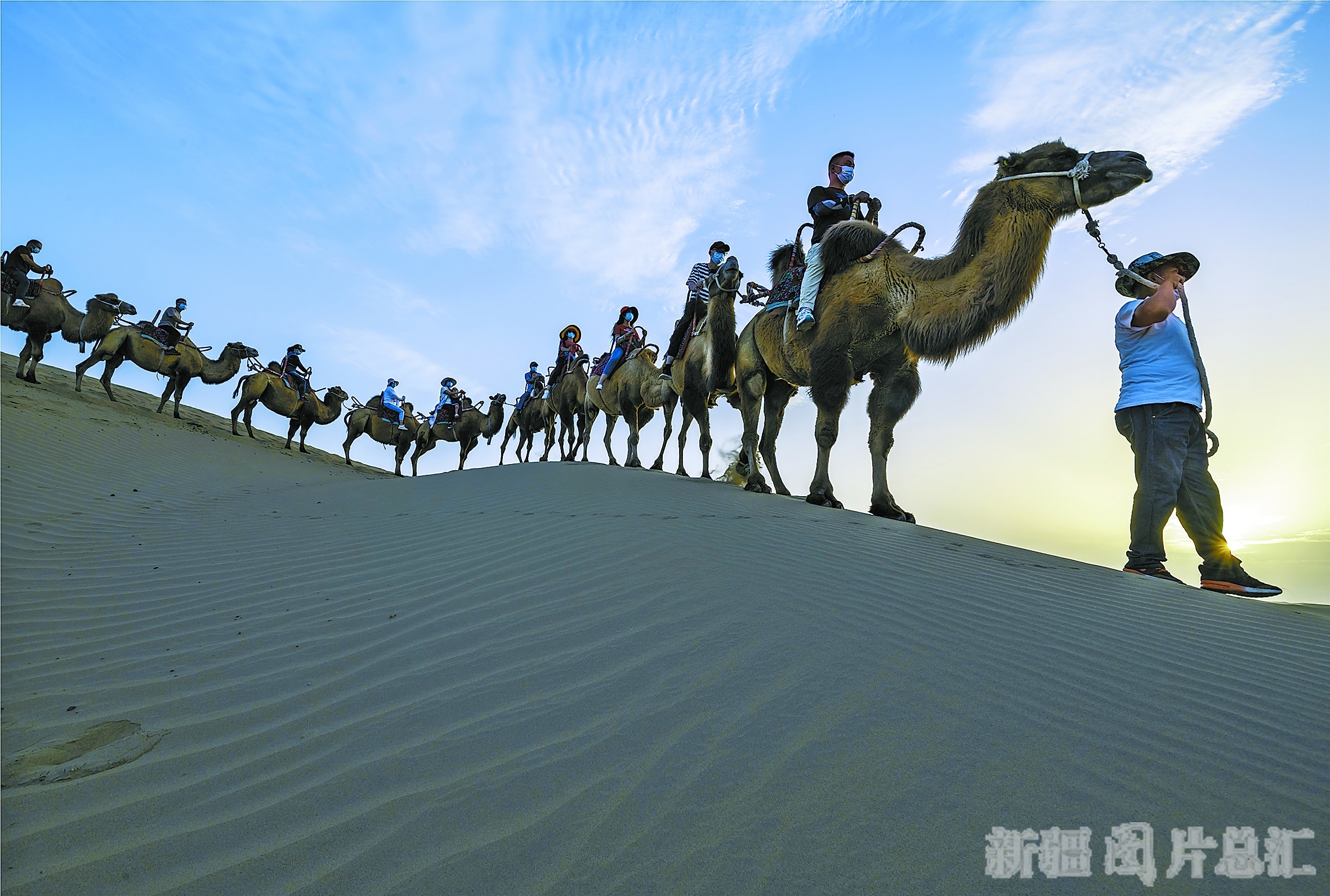 九游官网入口地址-关于罜?的信息